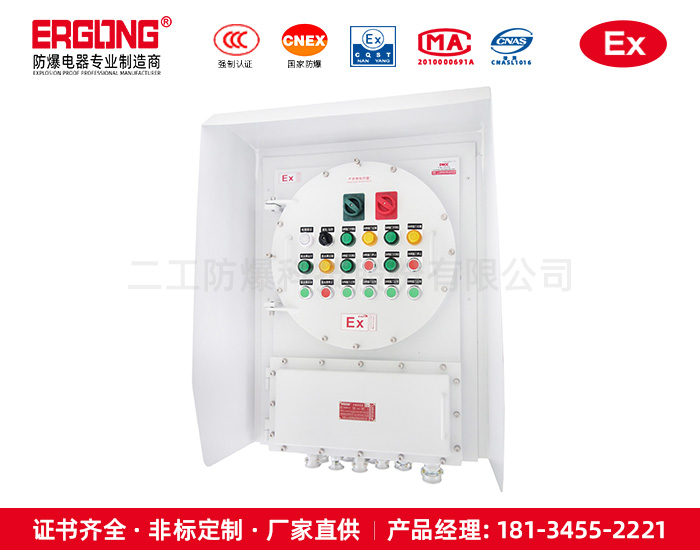 防爆配電箱-2CT級防爆配電箱